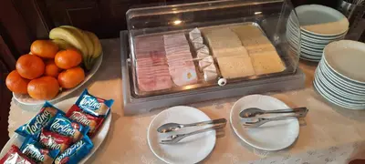 a counter top with a sink with food on it at Hotel Excellent in Prague
