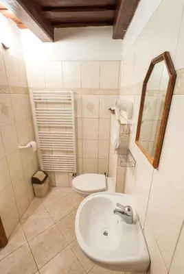a bathroom with a sink and a toilet at Pension Dientzenhofer in Prague