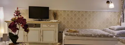 a bedroom with a bed and a tv on a cabinet at Studio near Congress Centre II. in Prague