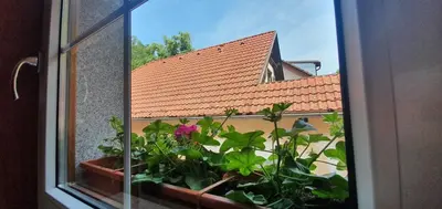 a window with a view of a house with a plant at Hotel Karlštejn & SPA in Karlštejn