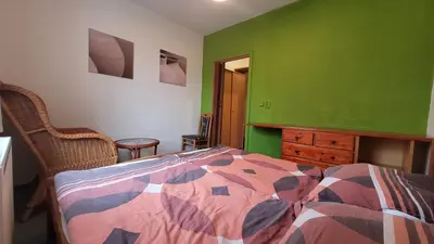 a bedroom with a bed and a green wall at Pension Patanka in Prague