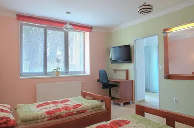 a bedroom with a bed and a tv and a window at Penzion U Vinotéky in Nymburk