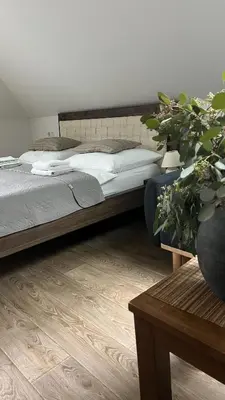 a bedroom with a bed and a potted plant at Penzion Marjána in Mníšek pod Brdy
