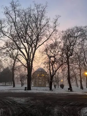a group of trees in a park with a building at Apartment Žižkova 159, Terezín in Terezín