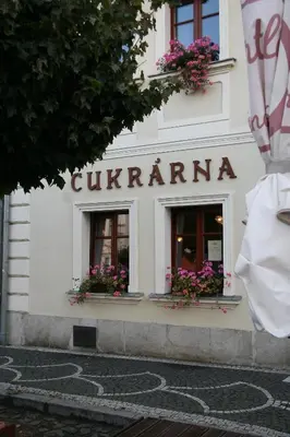 a white building with two windows with flowers at Penzion U Kapra in Roudnice nad Labem
