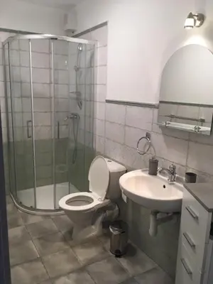 a bathroom with a shower and a toilet and a sink at Penzion U Kapra in Roudnice nad Labem