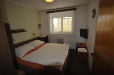 a bedroom with a bed and a window at Pension Sparta in Prague
