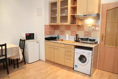 a small kitchen with a washing machine and a sink at Old Town studio in Prague