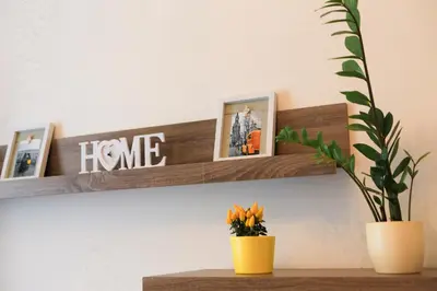 a shelf with pictures and a plant on a wall at Yellow apartment few steps from metro in Prague