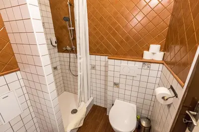 a bathroom with a toilet and a shower at Mila Apartments in Prague