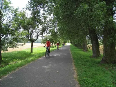 a group of people riding bikes down a bike path at Lazensky Hotel Park in Poděbrady