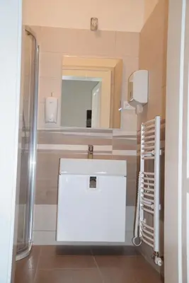 a bathroom with a white sink and a mirror at Palackeho Apartment in Prague