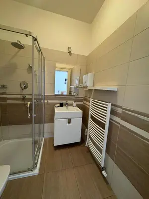 a bathroom with a sink and a shower and a toilet at Palackeho Apartment in Prague