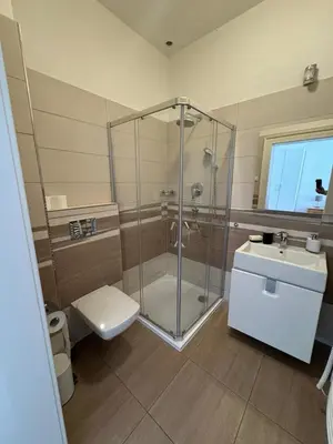 a bathroom with a shower and a toilet and a sink at Palackeho Apartment in Prague