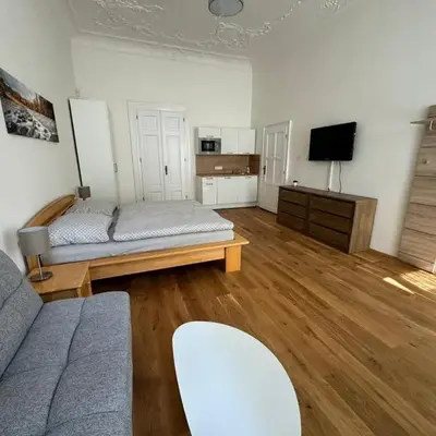 Palackeho Apartment