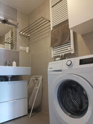 a laundry room with a washing machine and a sink at Nice and refreshing flat in Prague in Prague
