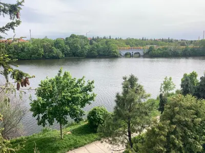 a view of a river with a bridge and trees at Apartments near the pond in Prague