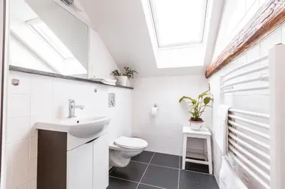 a bathroom with a sink toilet and a skylight at Alt pension in Prague