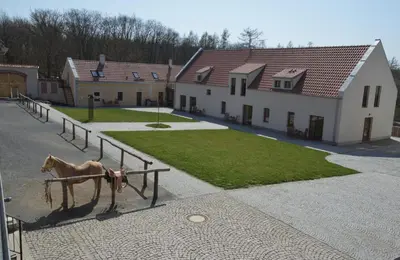 a statue of a horse standing next to a house at Statek Krkavčí Hora in Nižbor