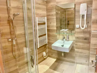 a bathroom with a shower and a sink at Hotel Atlas in Benešov
