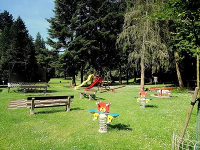 a park with a bunch of playground equipment in the grass at Pension Konopiste in Benešov