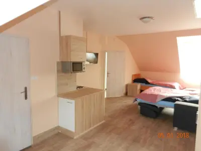 a small room with a kitchen and a bed at Penzion AMÁLKA Černín in Zdice