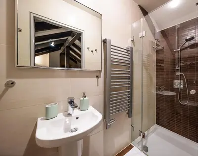 a bathroom with a sink and a shower and a mirror at President APT by Prague Castle, VIEWS in Prague