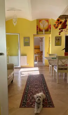 a small dog sitting on a rug in a living room at ARTHARMONY Pension & Hostel in Prague