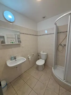 a bathroom with a toilet and a sink and a shower at Hotel Koruna in Roudnice nad Labem