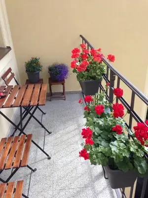 a group of potted geraniums sitting on a stair railing at Dušní Apartments in Prague