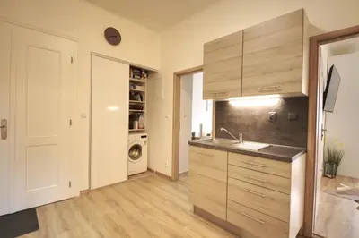 a kitchen with a sink and a washing machine at Cozy Private Apartment in Prague