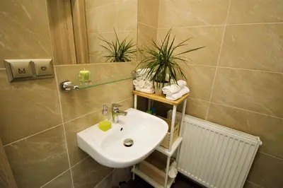 a bathroom with a sink and two plants in it at Penzion Na Americe in Nové Jirny