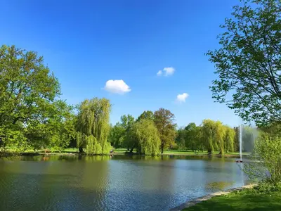 a lake in a park with trees and a fountain at Trendy Local Apartment in Prague
