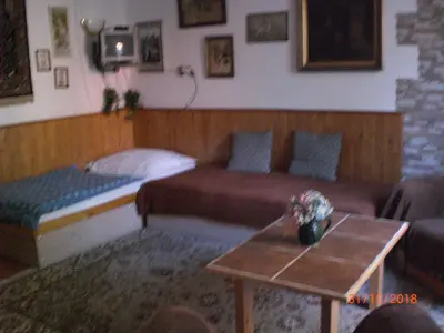a living room with a couch and a table at pension Kalik in Prague