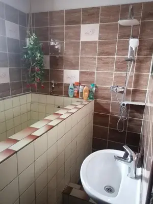 a bathroom with a sink and a christmas tree at pension Kalik in Prague