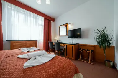 a hotel room with a bed and a desk at Penzion Homer Poděbrady in Poděbrady
