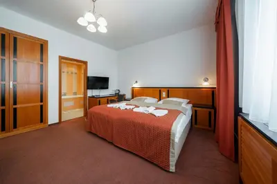 a hotel room with a bed and a television at Penzion Homer Poděbrady in Poděbrady