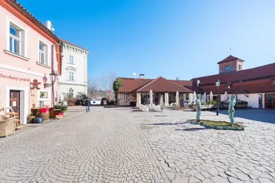 a cobblestone street in a town with buildings at Charles Apartment in Prague
