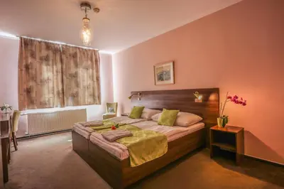 a bedroom with a large bed with a wooden headboard at Hotel Zámeček in Poděbrady