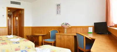 a room with a bed and a table and a tv at Hotel Olympik in Prague