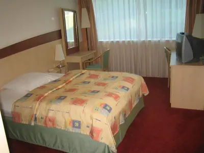a hotel room with a bed and a television at Olympik Artemis in Prague