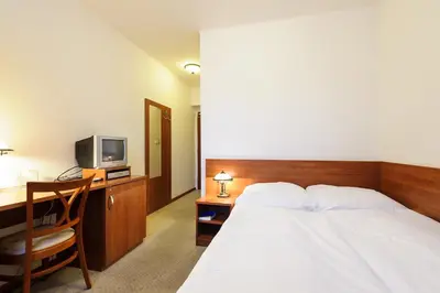 a bedroom with a bed and a desk and a tv at Alexis in Prague