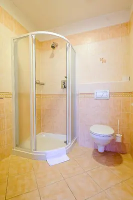 a bathroom with a shower and a toilet at Alexis in Prague