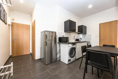 a kitchen with a refrigerator and a table with chairs at Slavikova Residence in Prague