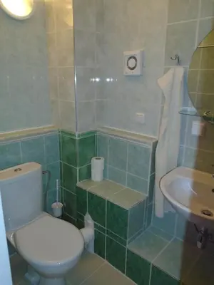 a bathroom with a toilet and a sink at Pension Dobroucky in Prague