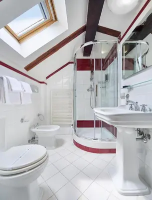 a bathroom with a shower and a toilet and a sink at La Fenice in Prague