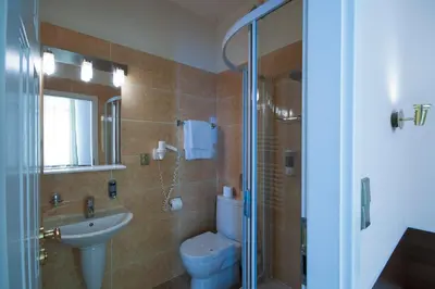 a bathroom with a toilet and a sink and a shower at Art Deco Hotel Hoffmann in Kladno