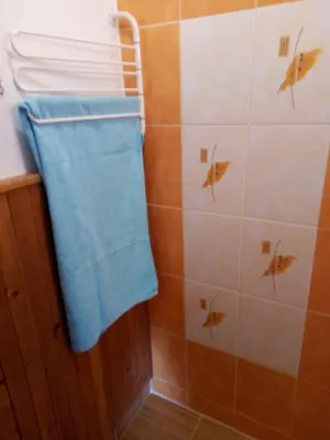 a bathroom with a blue towel hanging from a shower at apartricanova in Prague