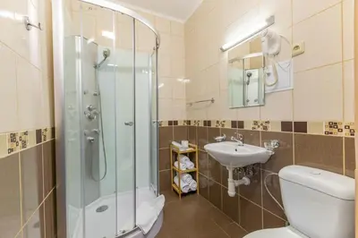 a bathroom with a shower and a toilet and a sink at Hotel Wilhelm in Prague