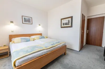 a bedroom with a large bed in a room at Hotel Wilhelm in Prague